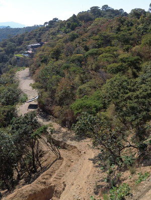 Terrenos en el Santuario