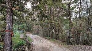 Fabuloso Terreno campestre, con servicios y pocos minutos del centro de San Cris