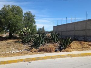 VENTA DE TERRENO EN TELLEZ, ZEMPOALA, HIDALGO