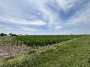 Terreno en Venta en Maravillas Matamoros