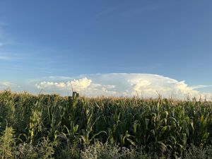 Terreno en Venta en Maravillas Matamoros