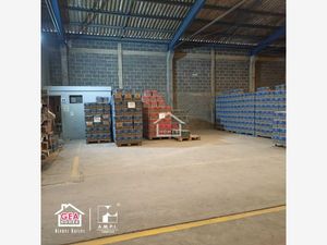 Bodega en Renta en Miramar Altamira