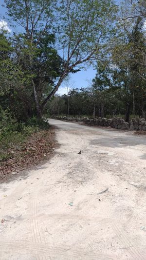 Terreno para desarrolladores, Puerto Morelos, Riviera Maya, Quintana Roo