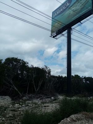 Terreno en venta Tulum