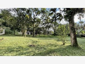 Terreno en Venta en Briones Coatepec