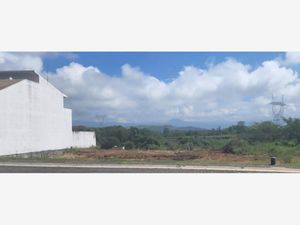 Terreno en Venta en Bosque de Niebla Xalapa