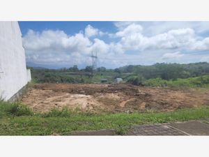 Terreno en Venta en Bosque de Niebla Xalapa