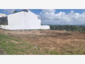 Terreno en Venta en Bosque de Niebla Xalapa