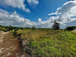 Terreno en Venta en El Lencero Emiliano Zapata