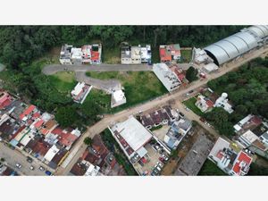 Terreno en Venta en Bellavista Xalapa