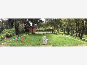 Terreno en Venta en Briones Coatepec