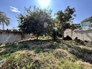 Terreno en Venta en La Estanzuela Emiliano Zapata