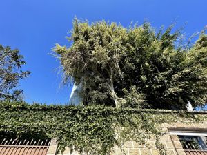 Casa en Venta en la estanzuela  Emiliano Zapata