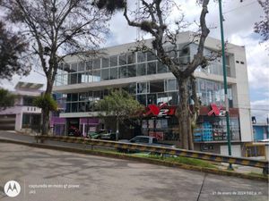 Local en Renta en Los Laureles Xalapa