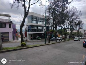 Local en Renta en Los Laureles Xalapa