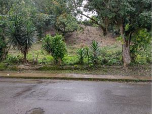 Terreno en Venta en Los Carriles Veracruz