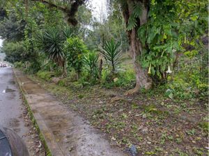 Terreno en Venta en Los Carriles Veracruz