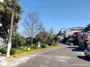 Casa en Renta en Jardines de Santa Rosa Xalapa