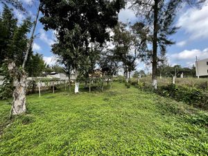 Terreno en Venta en El Telefre Emiliano Zapata