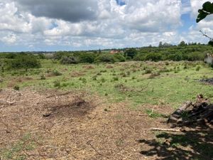 Terreno en Venta en El Lencero Emiliano Zapata