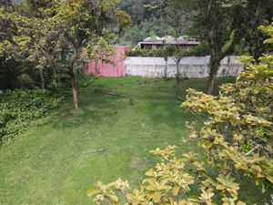 Terreno en Venta en Briones Coatepec