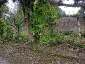 Terreno en Venta en Los Carriles Veracruz