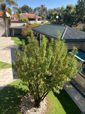 VENTA y RENTADE HERMOSA RESIDENCIA EN ESQUINA EN LA CONCEPCIÓN BUENAVISTA PUEBLA