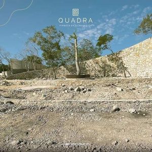 Terreno en venta, Quadra, Merida, Yuc.