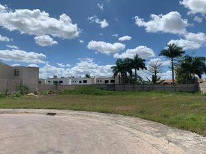 Venta Terreno en Privada Villareal , Mérida