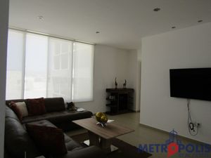 DEPARTAMENTO AMUEBLADO EN RENTA LOMA ALTA, SAN LUIS POTOSÍ