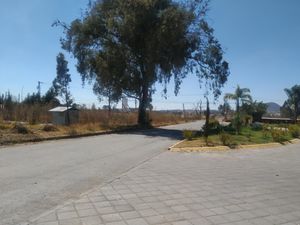 Terreno en Venta en Cuanalá Juan C. Bonilla