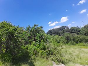 Terreno en Venta en San Alfonso Atlixco