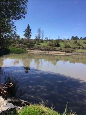 Terreno en Venta con colindancia con presa en Arroyo Zarco Aculco Edo. de México