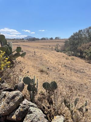 Terreno en Venta en Nopala | Hidalgo