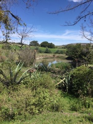 Terreno en Venta con colindancia con presa en Arroyo Zarco Aculco Edo. de México