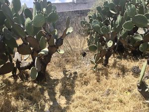 Terreno en Venta en el Centro de Aculco Estado de México