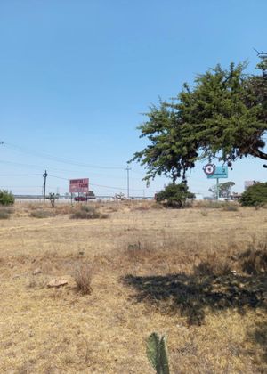 Terreno en Venta a pie de carretera a la altura de Palmillas | San Juan del Río