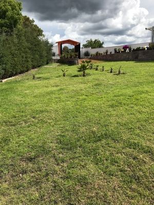 Lotes de Terrenos en venta en la Quinta Bérenger Aculco Pueblo Mágico