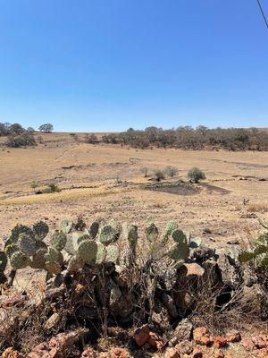 Terreno en Venta en Nopala | Hidalgo