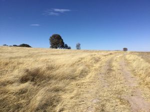 Terreno en Venta en Aculco Estado de México