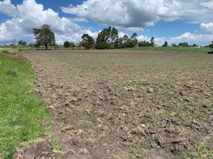 Terreno en Venta de 1Ha en Amealco | Querétaro