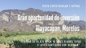 Espectacular Terreno en Venta en Tlayacapan; Morelos