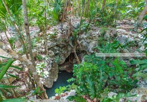 Cenote Lote- Pueblo SacBe