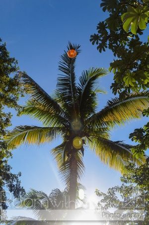 Se Vende Lote Frente al Mar en Akumal