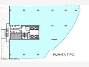 Oficina en Renta en Los Alpes Álvaro Obregón