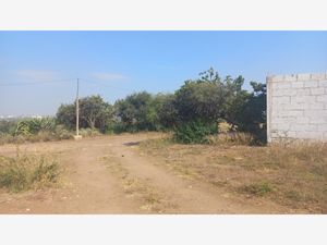 Terreno en Venta en El Rodeo San Juan del Río