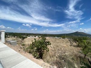 Terreno en Venta en Sabino Chico San Juan del Río