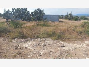 Terreno en Venta en El Rodeo San Juan del Río