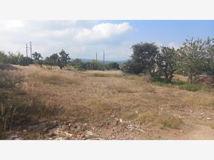 Terreno en Venta en El Rodeo San Juan del Río