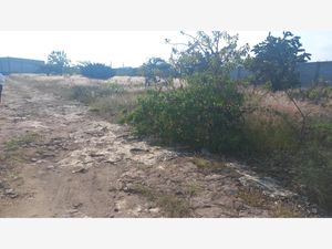 Terreno en Venta en El Rodeo San Juan del Río